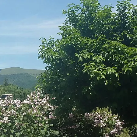 Casa Guastuglia Διαμέρισμα